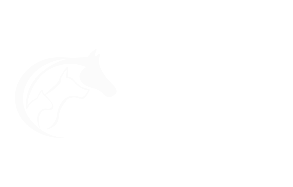 Giacolone