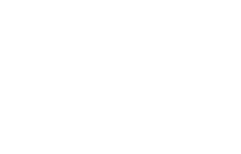 WernerChristHorse