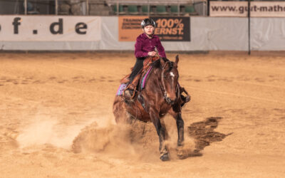 Ausschreibung Hot Summer Show
