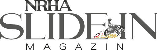 nhra_slide_in_logo_dunkel