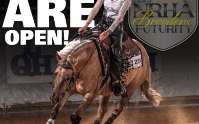 Breeders Futurity 2025